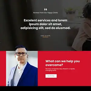 Business Consultancy Firm