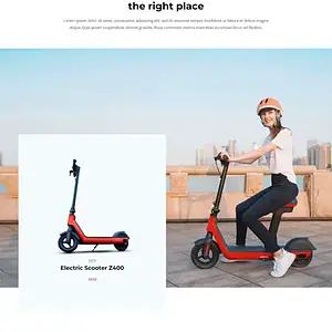 Electric Scooter