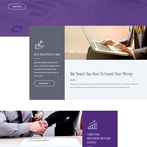 Financial Advisors 财务顾问