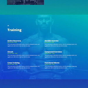 Fitness Trainer 健身教练