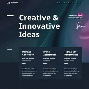 Marketing Agency 营销机构