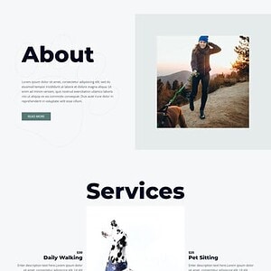 Pet Care 宠物护理