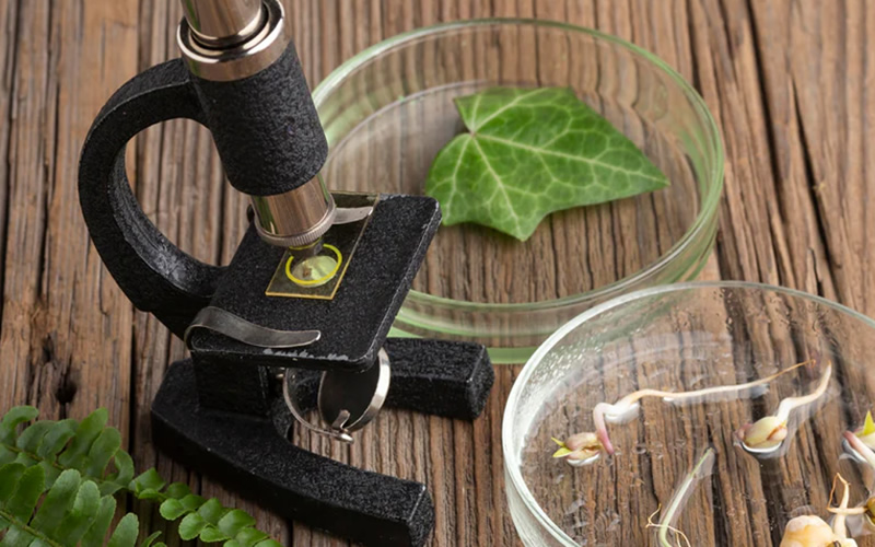 药妆产品 外贸B2C商城独立站搭建