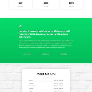 Psychiatrist 心理医生