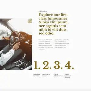 Limousine Rental Agency 豪华轿车租赁公司