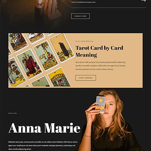 Tarot Card Reader 塔罗牌占卜师