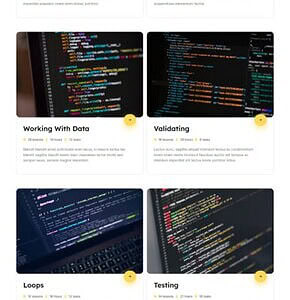 eCourse 电子课程